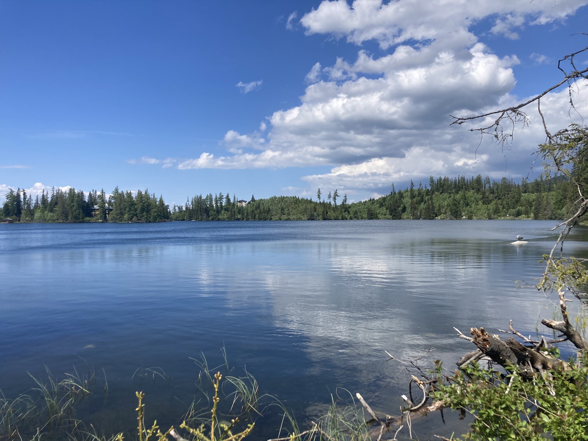 Štrbské pleso