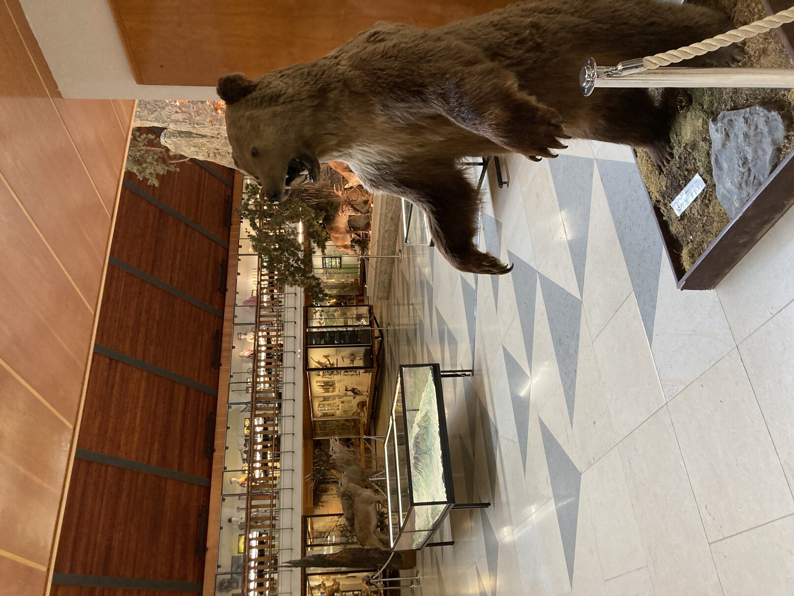 tatranské muzeum v Lomnici