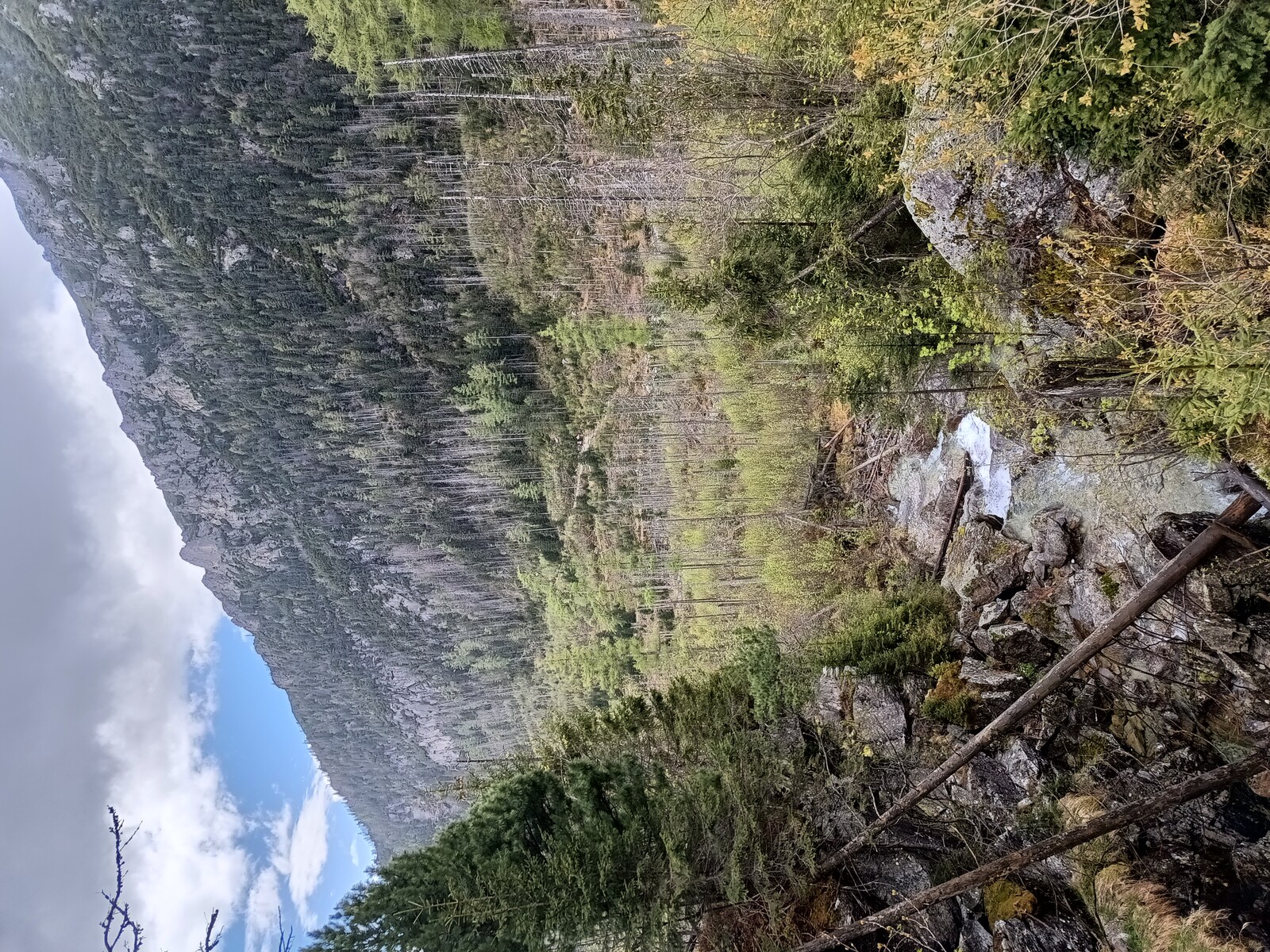 polomy z roku 2014 jsou vidět