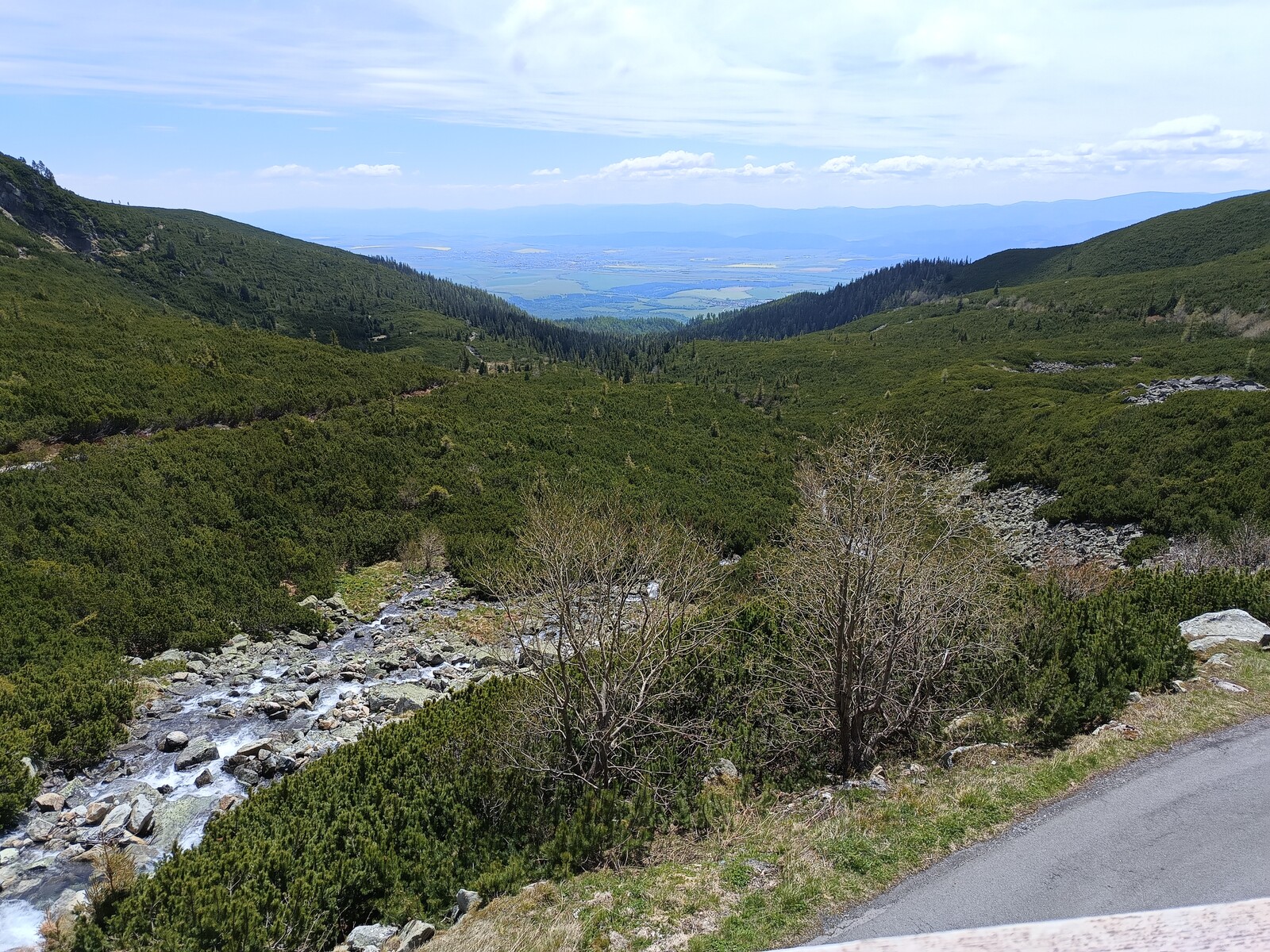 pohled od Sliezskeho domu